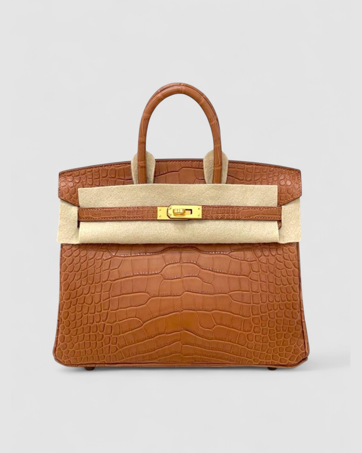 Hermes Birkin 25 Gold Matte Croc Gold Hardware front view