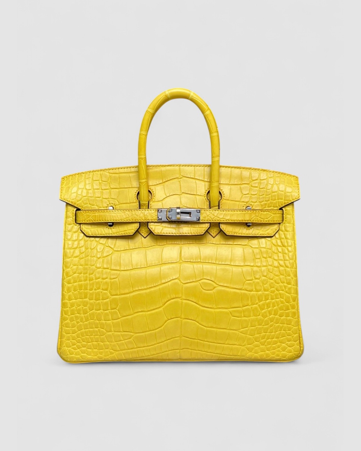 Hermes Birkin 25