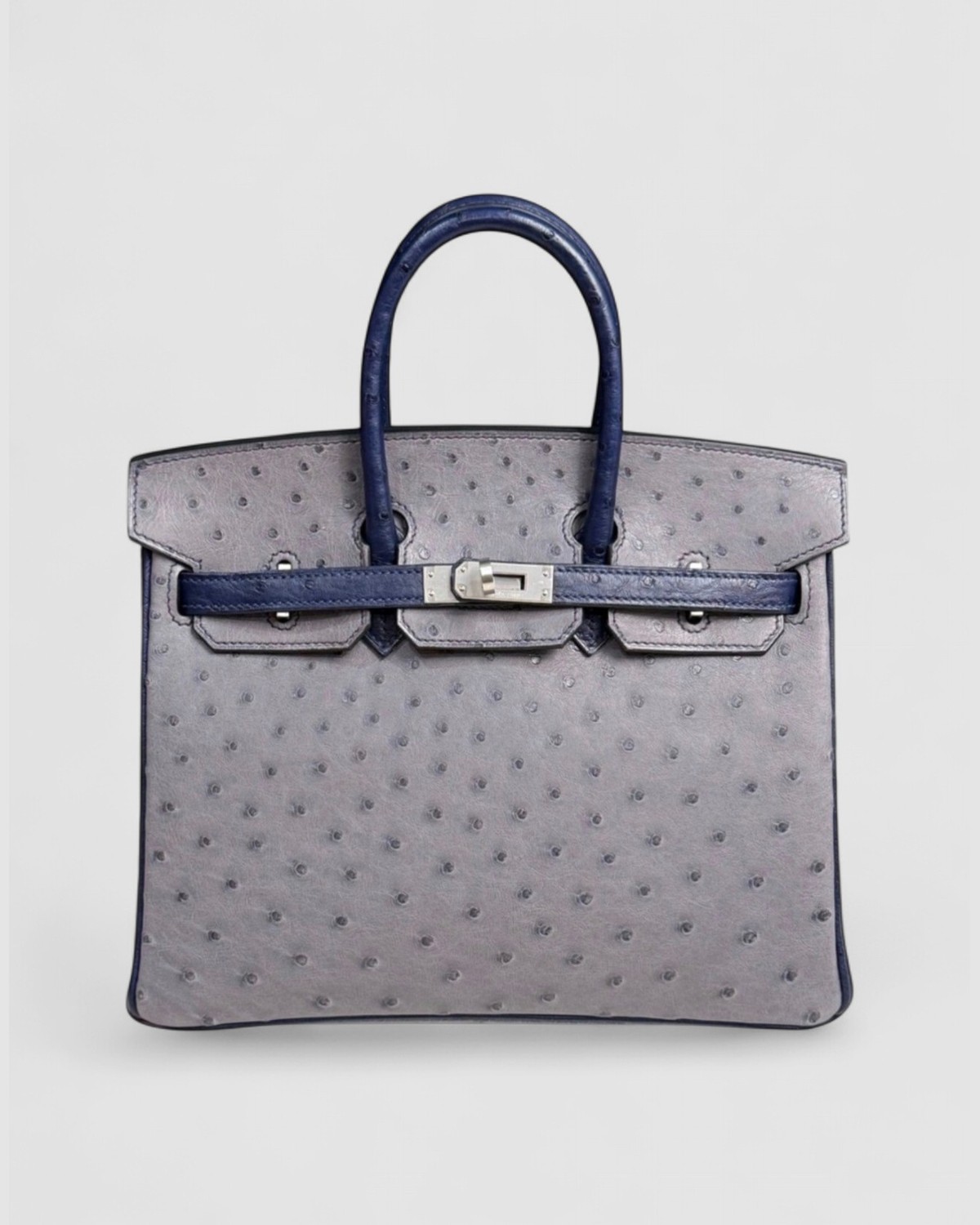 Hermes Birkin 25
