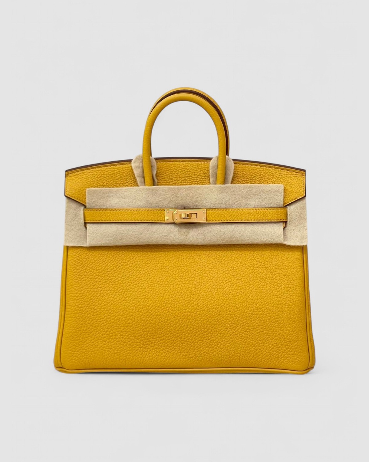 Hermes Birkin 25