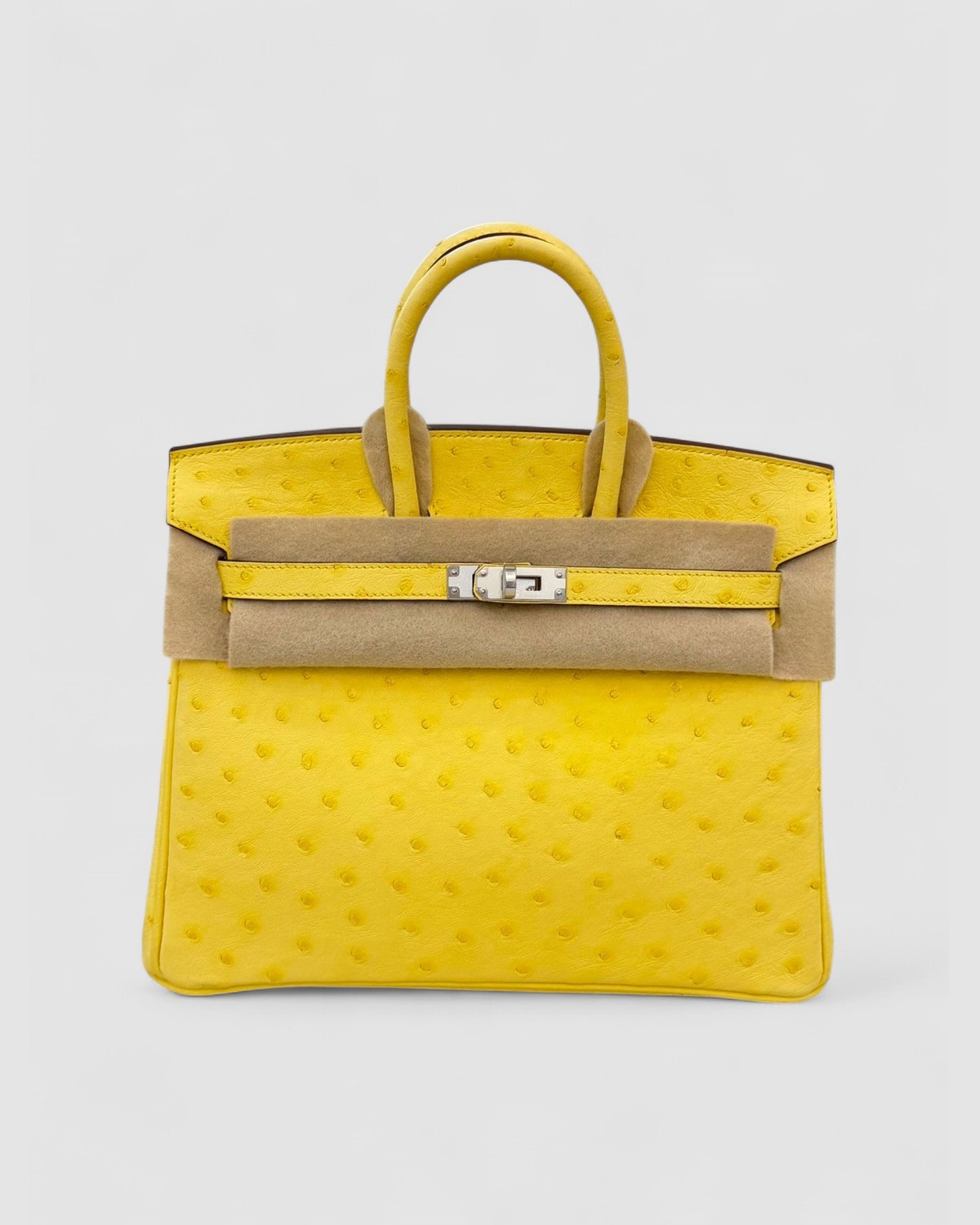 Hermes Birkin 25 Jaune Citron Ostrich Palladium Hardware front view